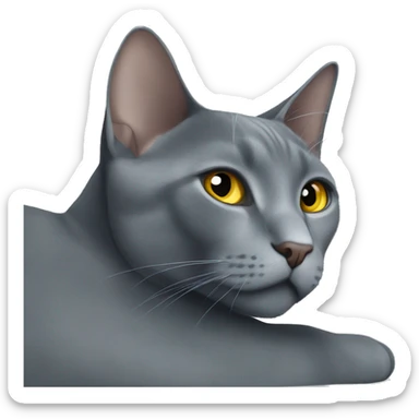 Russian blue cat sunbathing  sticker