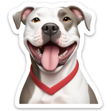 large gray male pit bull smiling and hugging bald white mature man no beard blue eyes with red tshirt sticker