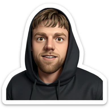 brown haired boy indoors sticker