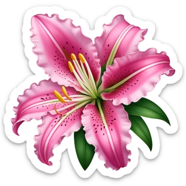 Stargazer Lily  sticker