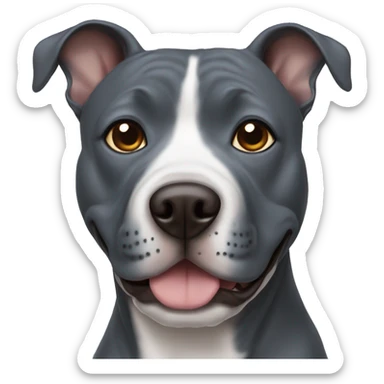 Blue staffy dogs with brown eyes  sticker
