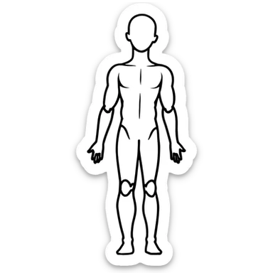 human body silhouette, standing, anatomical illustration sticker