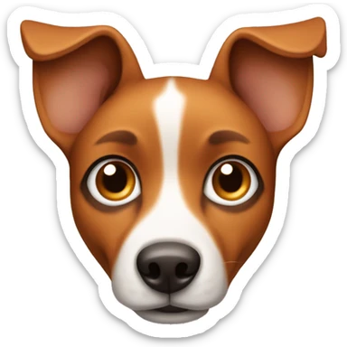 Orange brown Street dog with big pointy ears big eyes and a white nose sticker