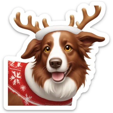 Red white Border Collie wearing a Christmas sweater and reindeer antlers on his head sticker