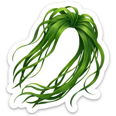 algues marine  sticker