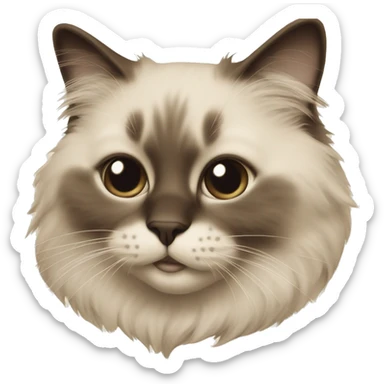 Ragdoll cat sepia  sticker