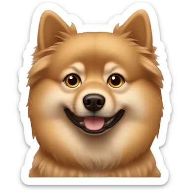 A light brown big Spitz. His face is covered with dark brown spots sticker