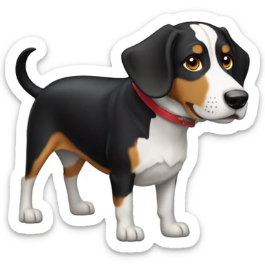 Appenzeller Sennenhund sticker