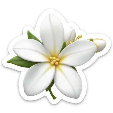 Jasmine sticker