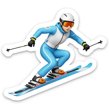Ski sticker