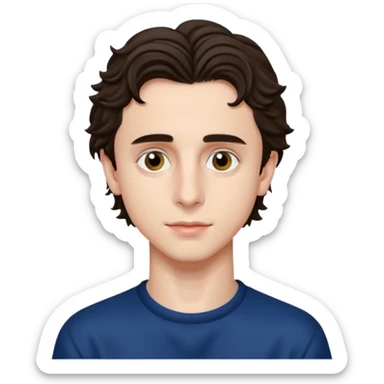 Timothee chalamet sticker