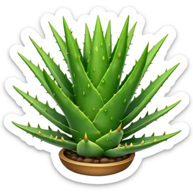 aloe vera sticker