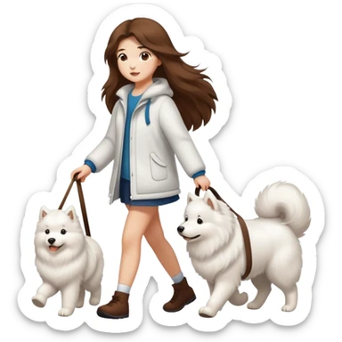 Brown long hair girl walking Samoyed sticker