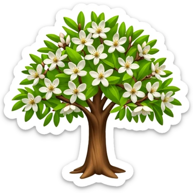 big almond tree with almost green leaves sticker