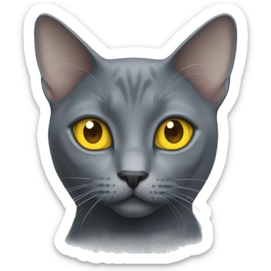 russian blue cat with yellow eyes  sticker