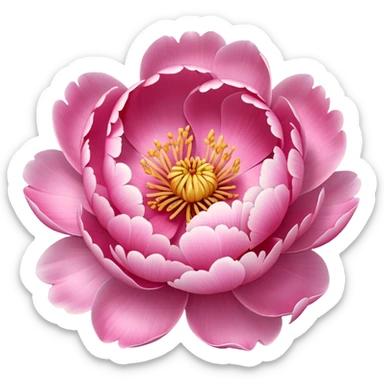 peony flower sticker