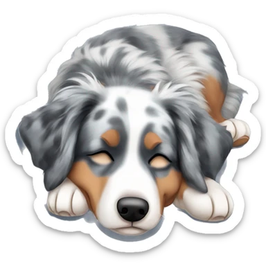 Blue Merle Australian shepherd sleeping on his back sticker