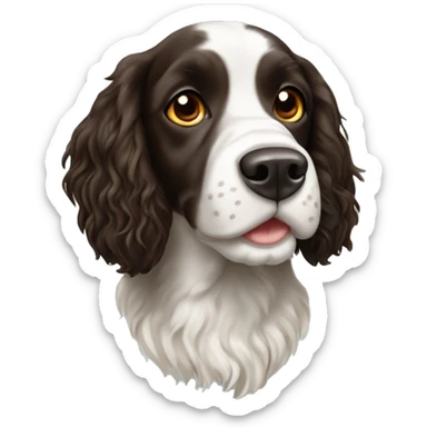 Springer spaniel Irish  sticker