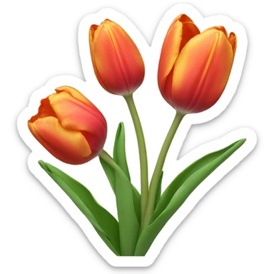 Tulip sticker