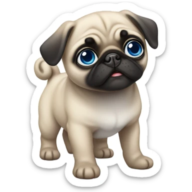 Baby pug with big blue eyes  sticker