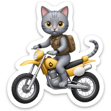 grey cat on a dirtbike  sticker
