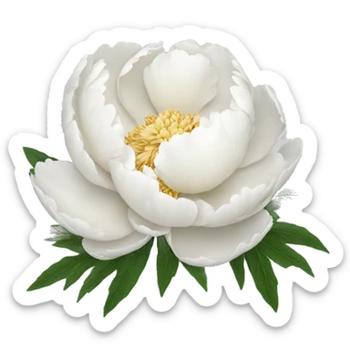 white peony sticker