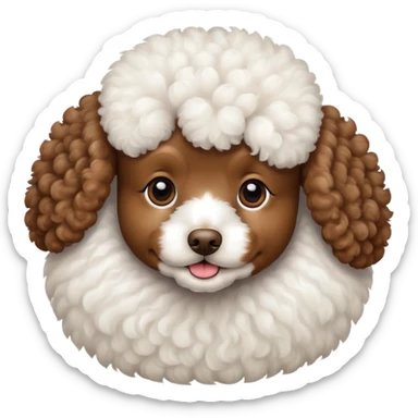 Brown poodle with white  sticker