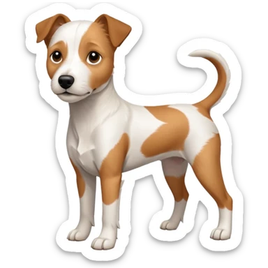 a full body white parson russell looking dog the size of a kelpie with light brown ears and a light brown patch on one eye and a large snout sticker