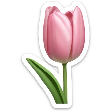 Light pink tulip sticker