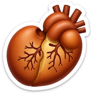 kidney sticker