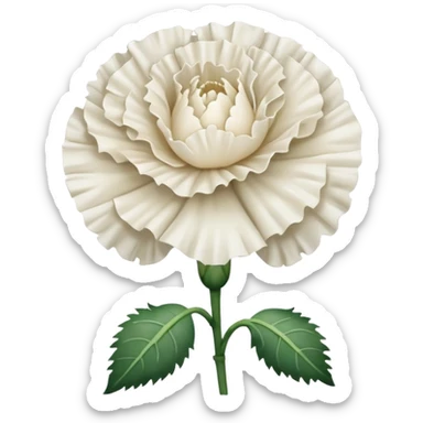 White Carnation flower sticker