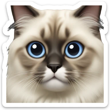 Realistic birman cat sticker