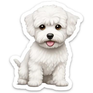 white maltipoo sticker