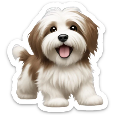 Havanese dog with brown and white fur frolicking sticker