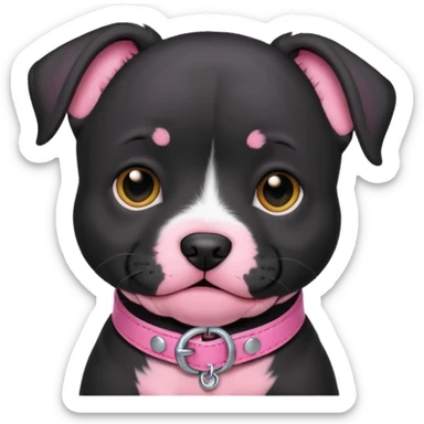 Black pitbull puppy that has a pink collar sticker