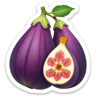 Fig sticker