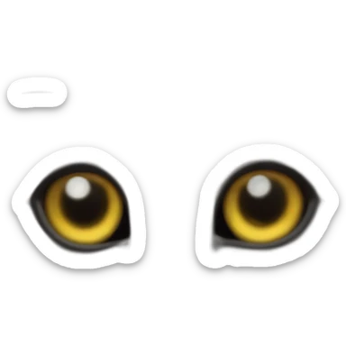 cat fisheye close-up sticker