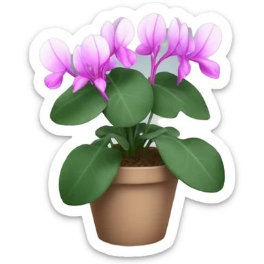 Cyclamen sticker