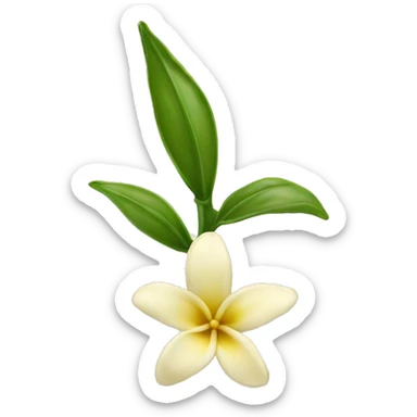 vanilla bean with flower sticker