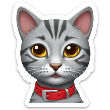 gray tabby cat with red chocker sticker