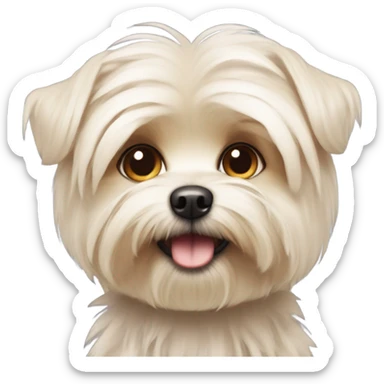Light colored Morkie  sticker