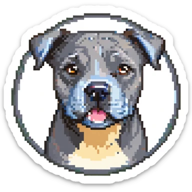 round circle puppy head full grey bleu staffy, stupid expression sticker