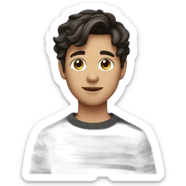 teenager boy dark brown wavy hair and dark gray striped sweater sticker