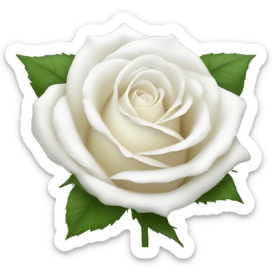 White rose sticker