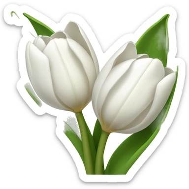 A tulip white tulips sticker