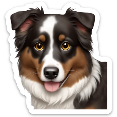mini australian shepherd in black brown white sticker