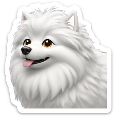 Spitz nain blanc et noir avec couronne les yeux vairon  sticker