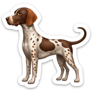 orange spotted face and back german short haired pointer docked tail sticker