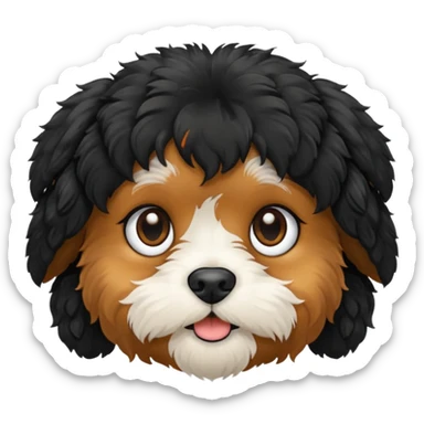 Cavapoo face black sticker