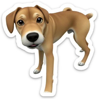 realistic shiba inu portrait sticker